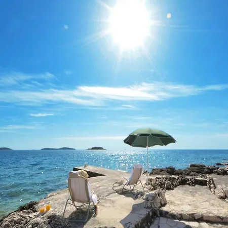 In Near Sea 罗戈兹尼察